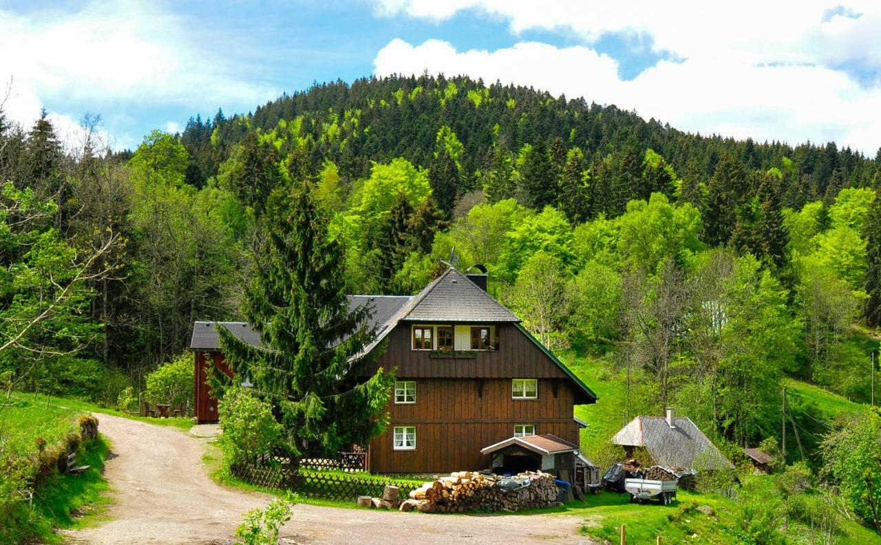 Ferienhaus Hinterzarten Kültér fotó